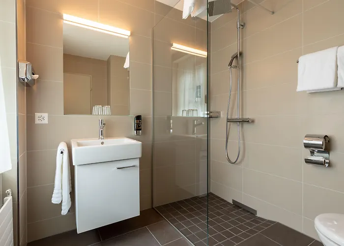 تريب إن زيوريخ 3* زيورخ