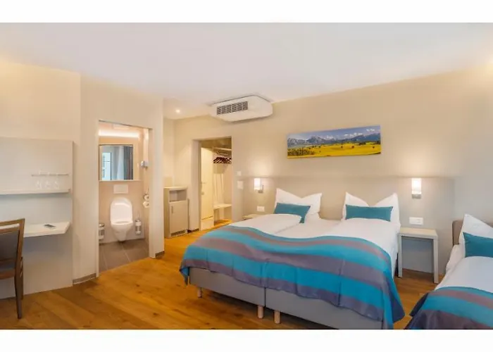 تريب إن زيوريخ 3* زيورخ